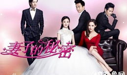 电视剧妻子的秘密简介,揭秘婚姻背后的真相与抉择